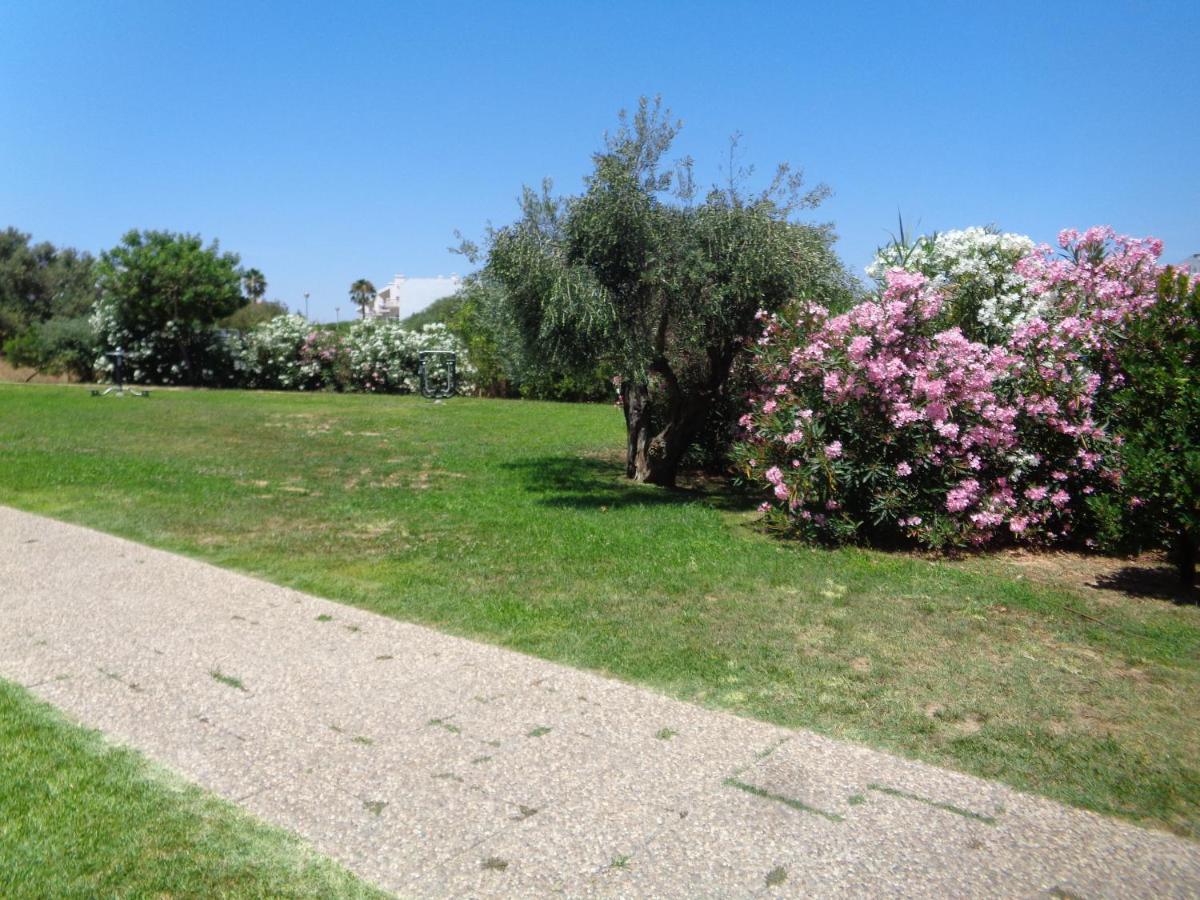 קבאנס דה טאבירה Apartment Vista Verde מראה חיצוני תמונה